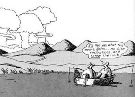 Far Side